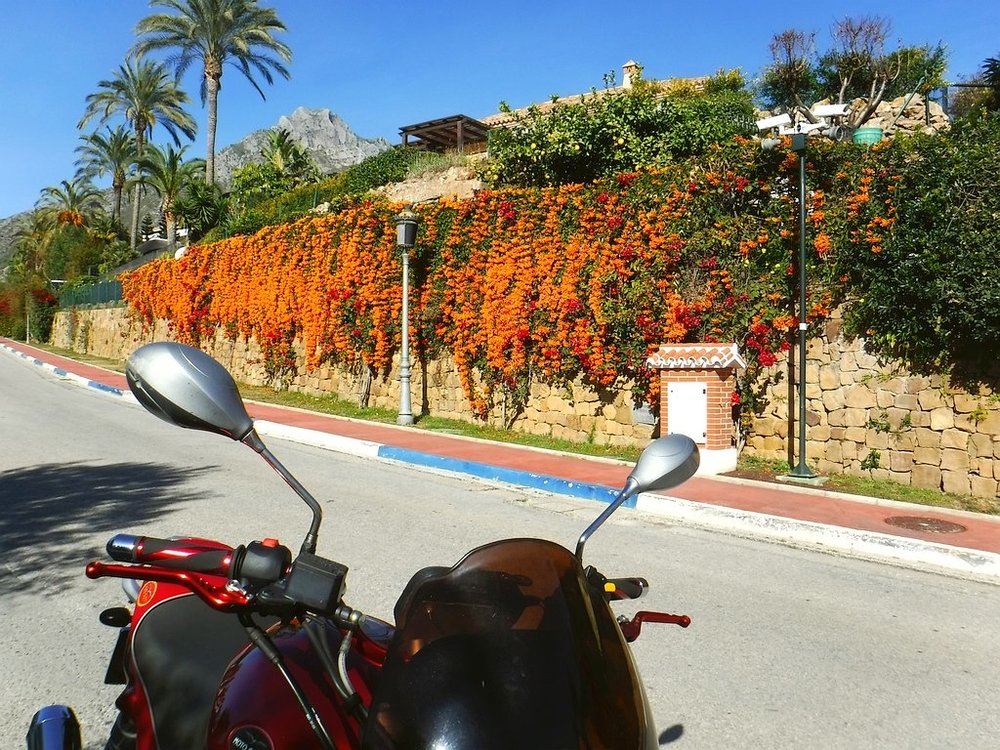 190124-Marbella-Moto-1834+.jpg