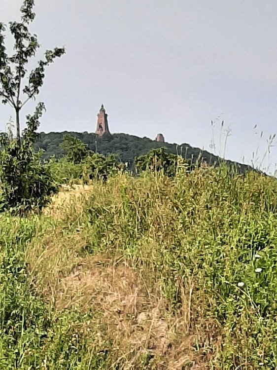 20210627_101548.jpg