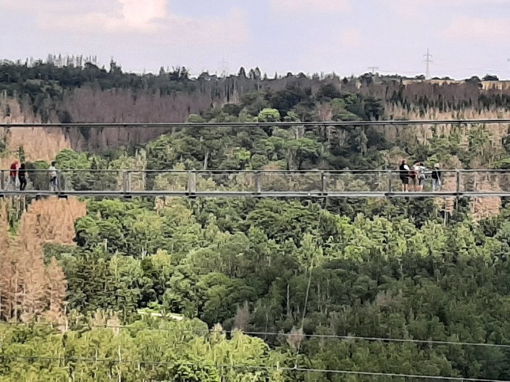 20210703_140831.jpg