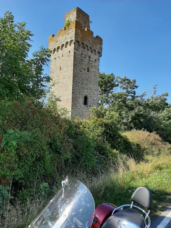 20210908_140229.jpg
