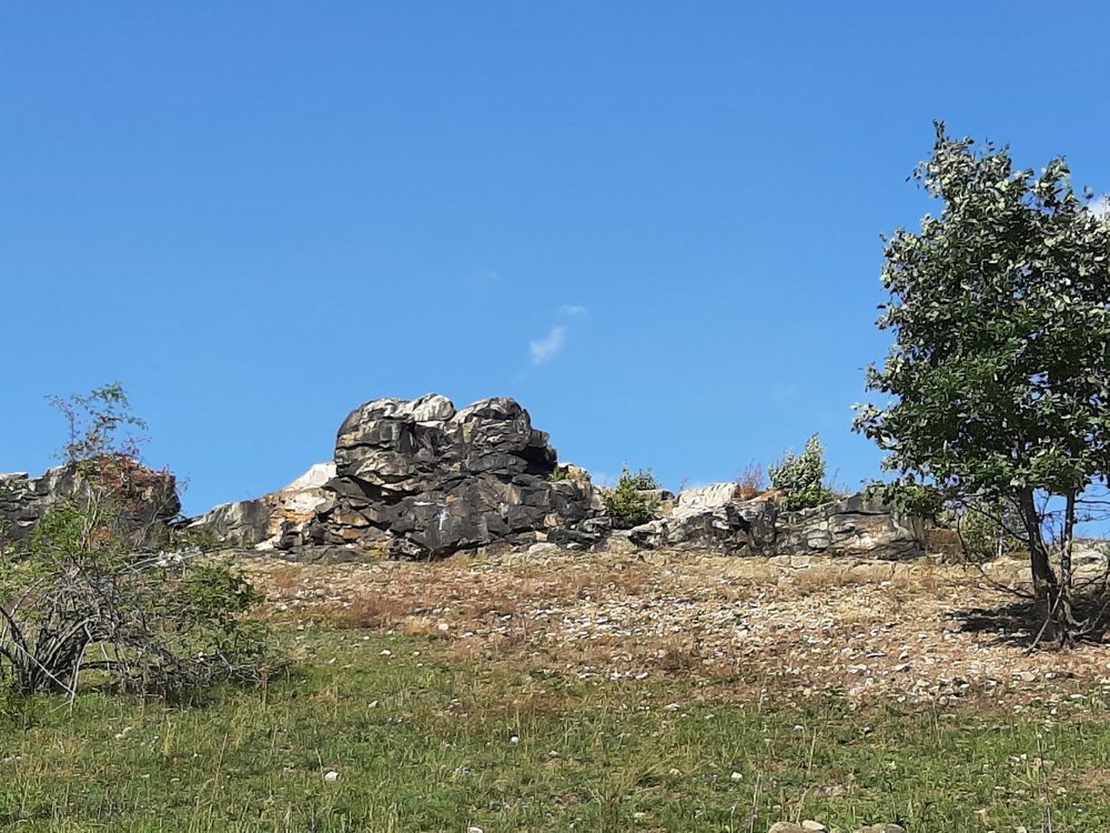 20210926_140734.jpg