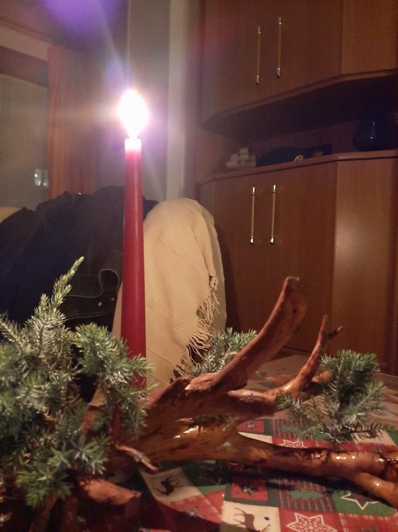 20211125_184259.jpg