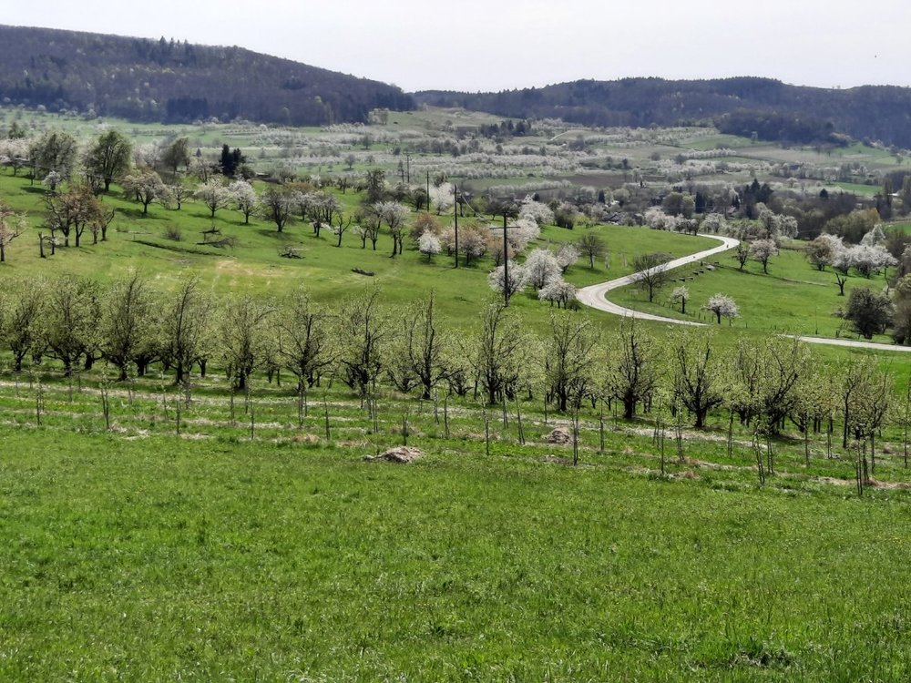 Sitzenkirch.jpg