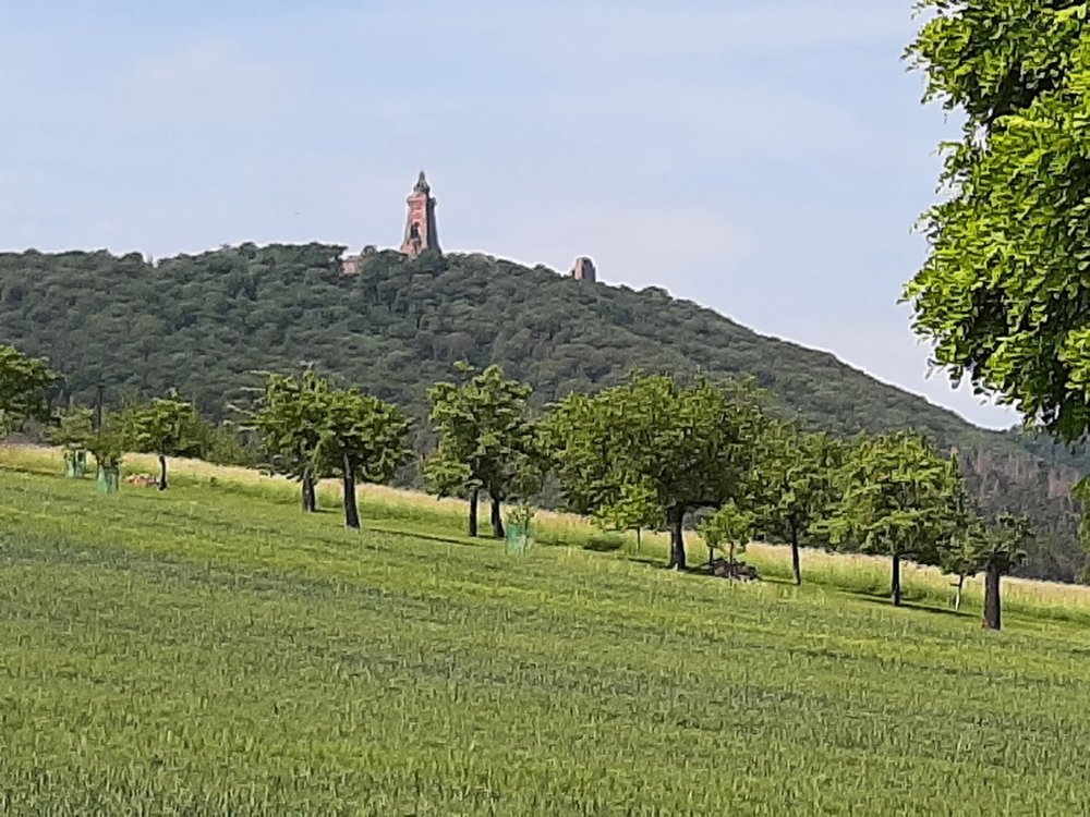 20220603_110007.jpg