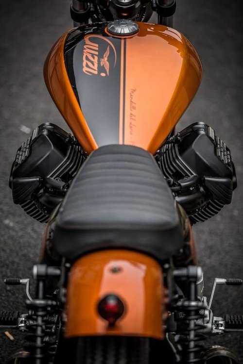 moto guzzi tail.jpg