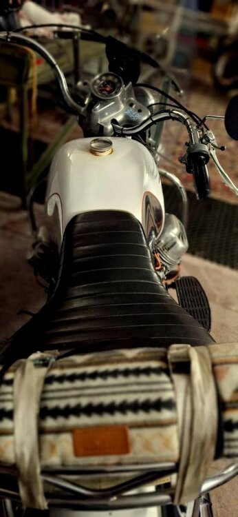 f8ec8851-45cc-438f-8e7f-42569b733986.jpg