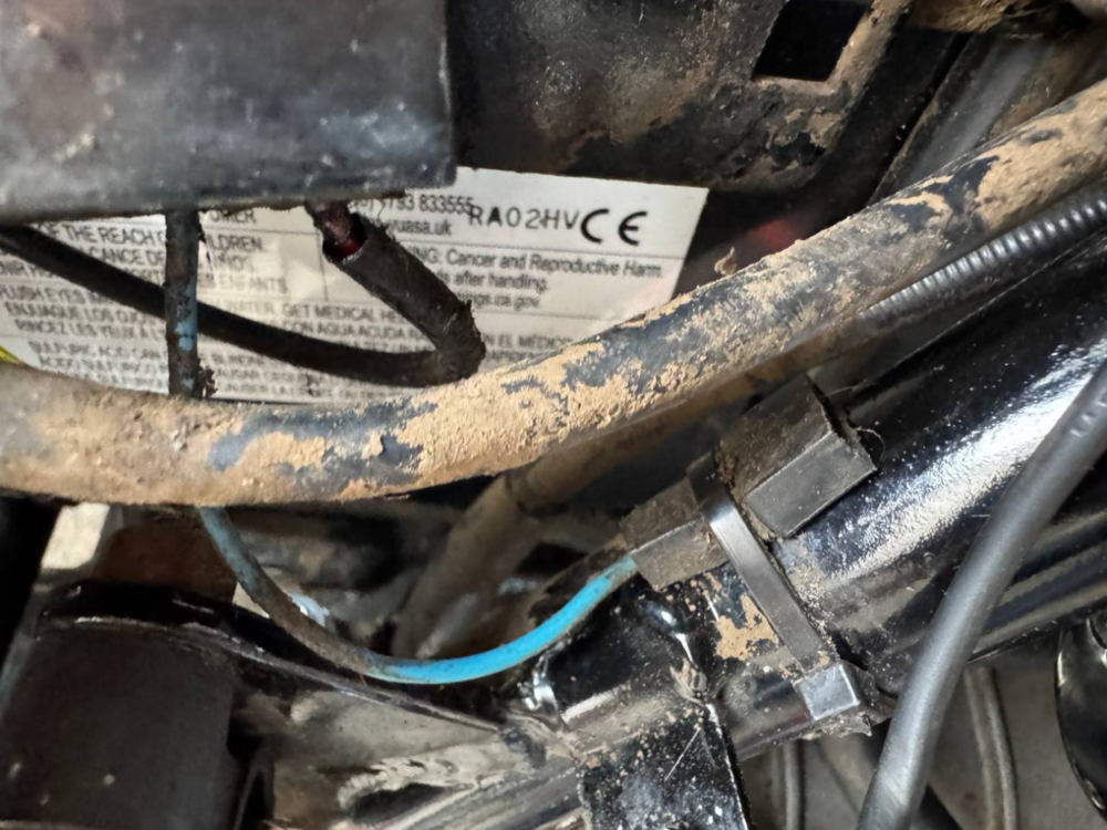 2026-04-28 17_23_42-photo_2026-04-28_17-17-30.jpg.png