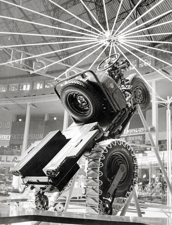 663273714_10233953298874459_1072856303455970418_n (1).jpg