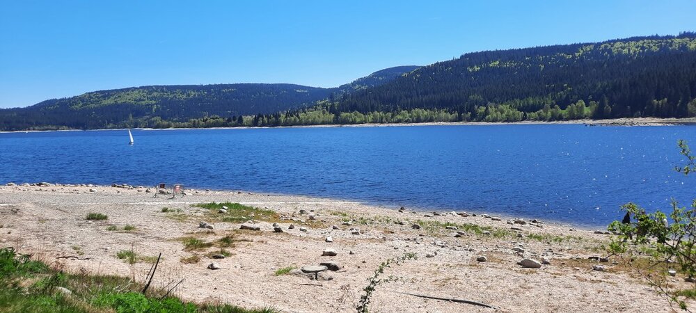 20260501_151917.jpg