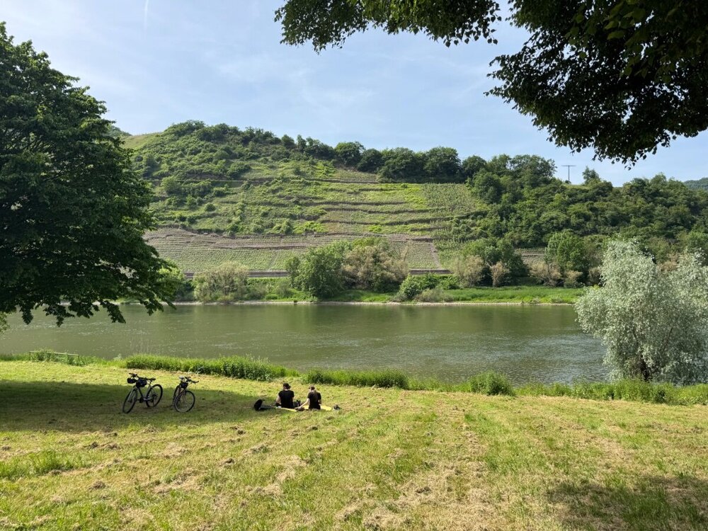 IMG_4006.jpeg